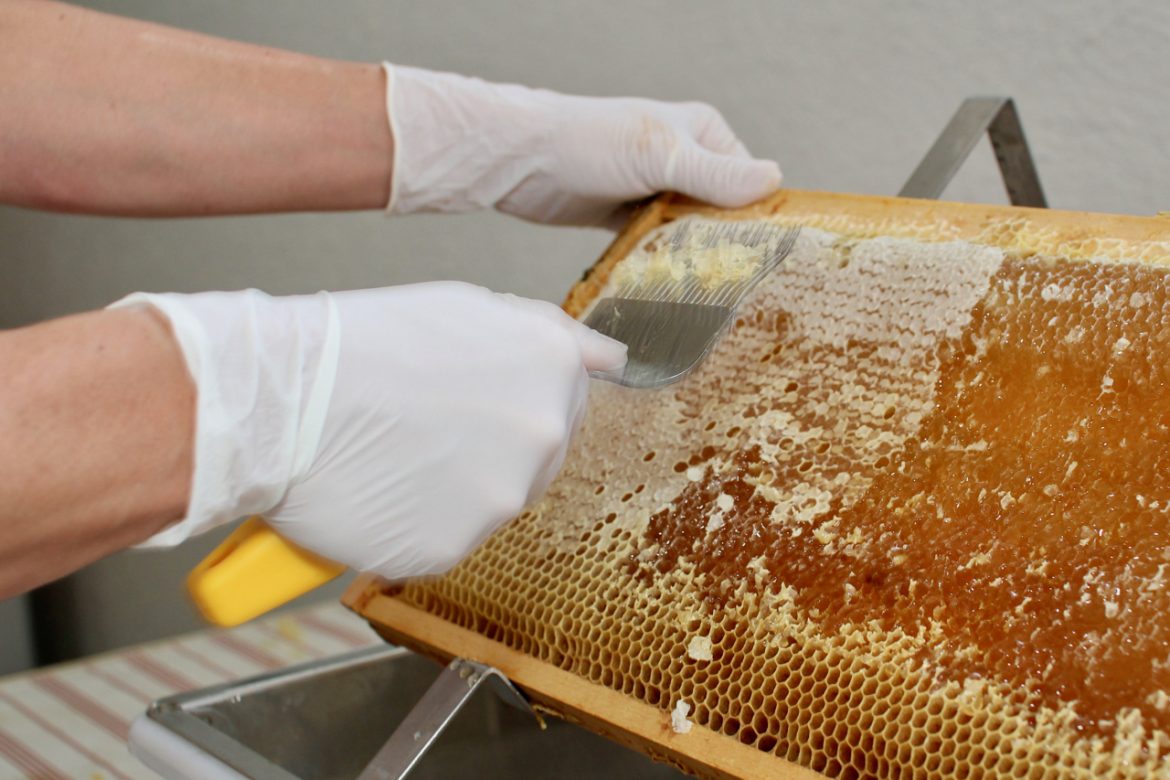 Honey Extraction HowTo! BY's Honey Farm