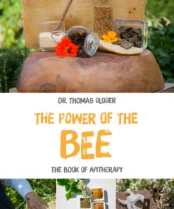 The Power Of The Bee