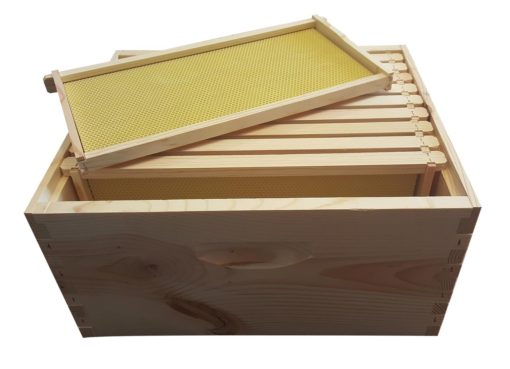 brood box with 10 frames and foundations