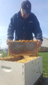 Ed Inspecting Hive