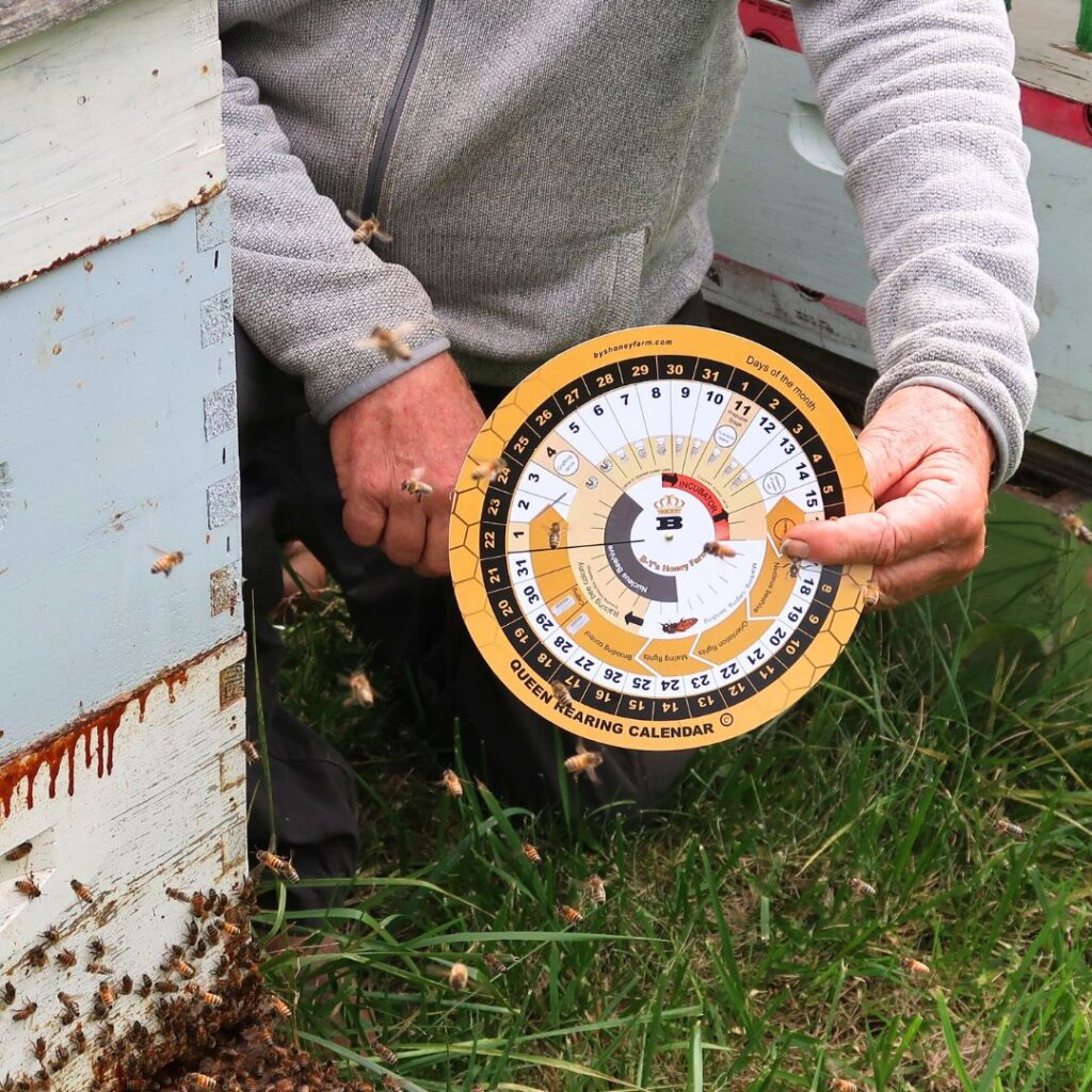 Queen Rearing Calendar - BY's Honey Farm