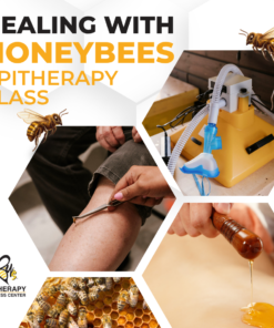 Healing With Honeybees - Onsite Apitherapy Class