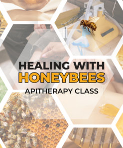 Healing With Honeybees - Onsite Apitherapy Class - October 17th 2026