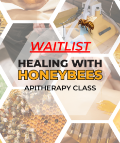 Healing With Honeybees WAITLIST
