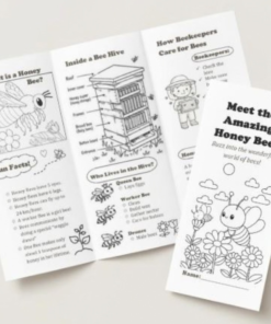 All About Honeybees: Kids’ Educational Brochure