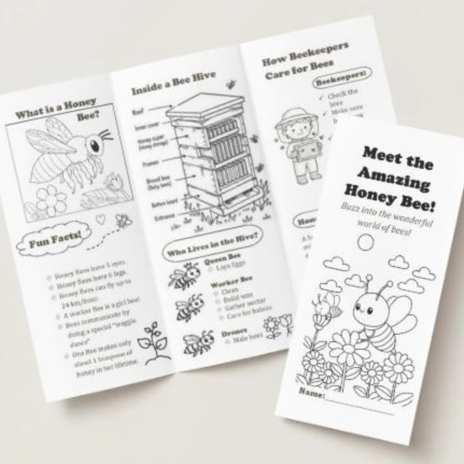 All About Honeybees: Kids’ Educational Brochure